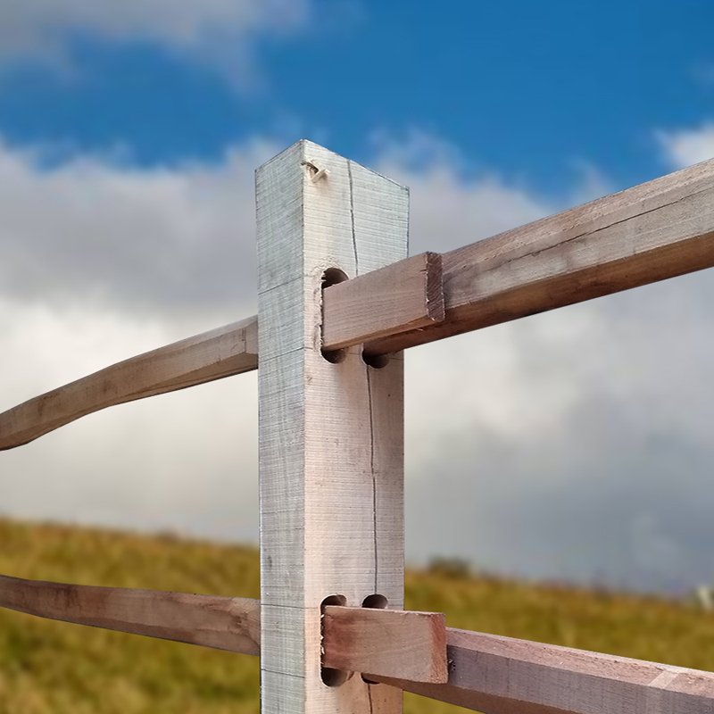 Robinia paardenomheining 'Post&Rail' - rechthoek