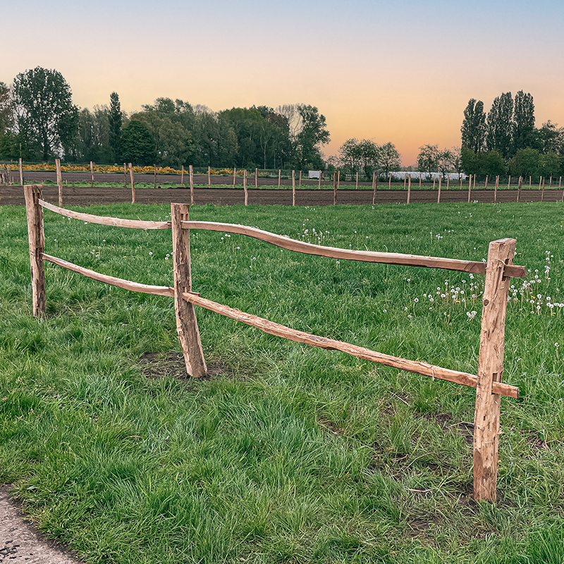 Robinia paardenomheining 'PostandRail'- bezaagd