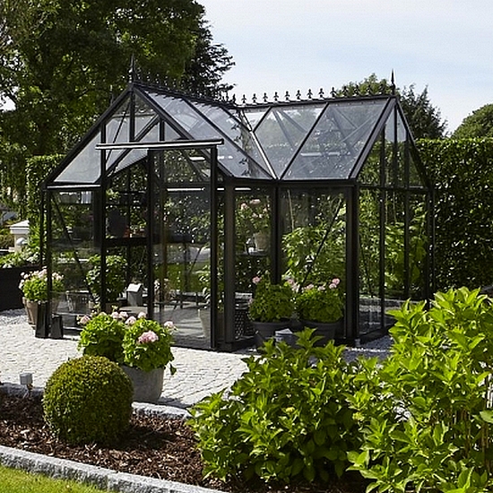 Orangerie 'Eos Junior' - T Black