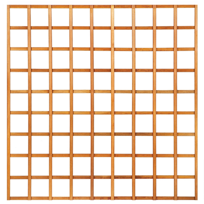Trellis scherm recht – Hardhout